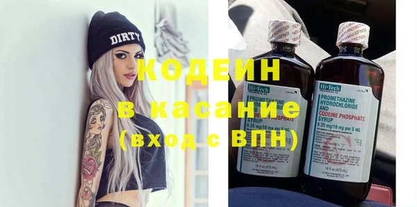 индика Корсаков