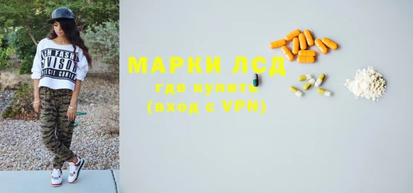 индика Корсаков
