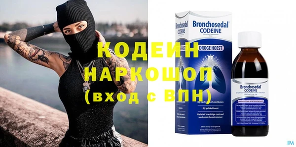 индика Корсаков