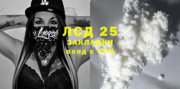 индика Корсаков